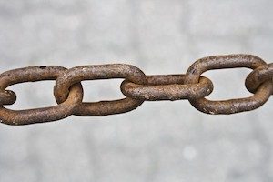Avoid low quality links to your website