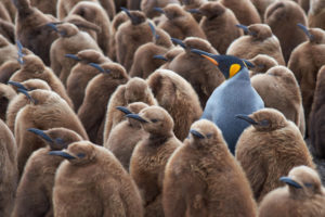 Make your content stand out from the crowd