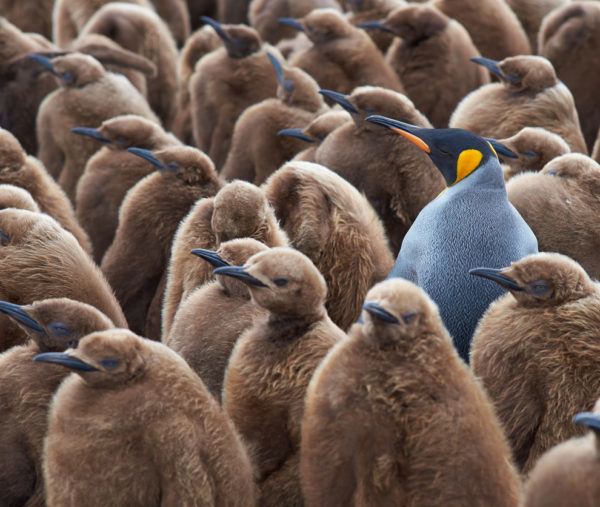Make your content stand out from the crowd